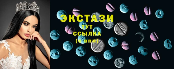 ECSTASY Няндома