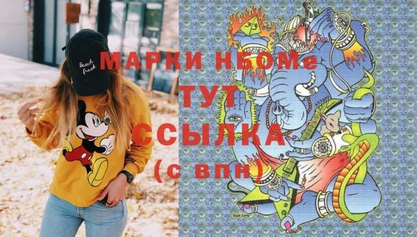 крисы Болхов